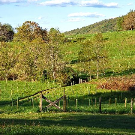 Walnut Run Farm Villa Woodville Kültér fotó