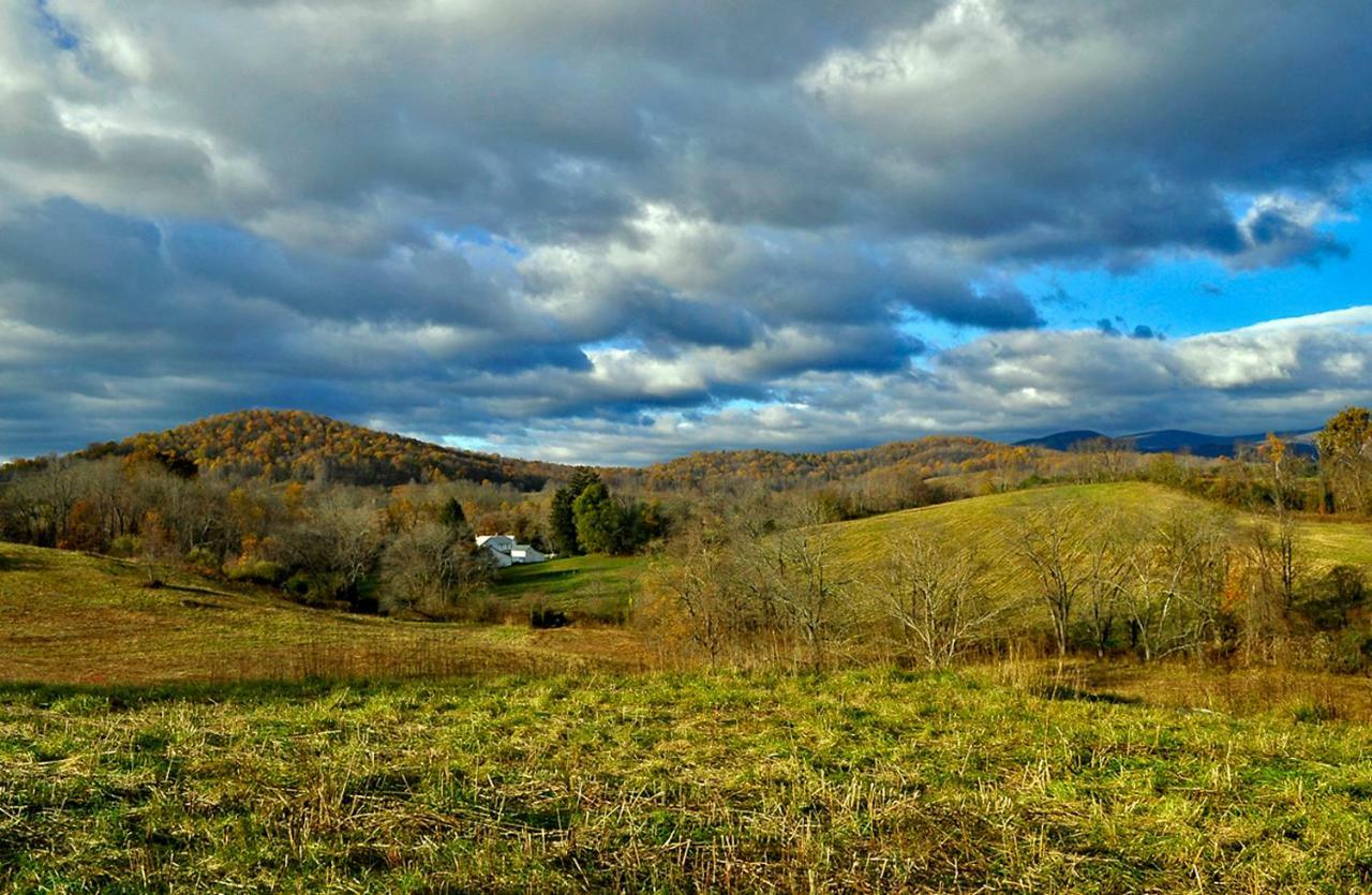 Walnut Run Farm Villa Woodville Kültér fotó